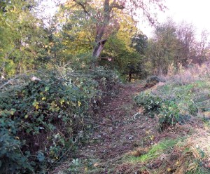 Staveley Footpath 58 near Ringwood Park