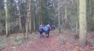 Britton Wood, South Chesterfield Way