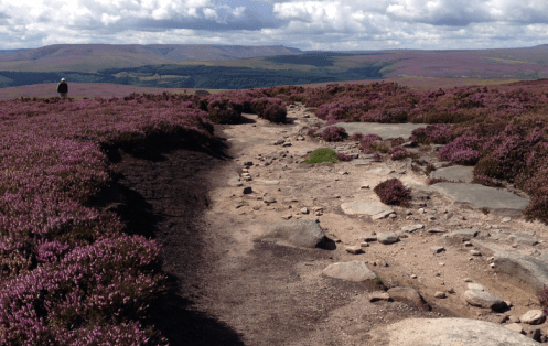 Derwent Edge