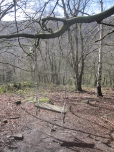 Swing in Bow Wood