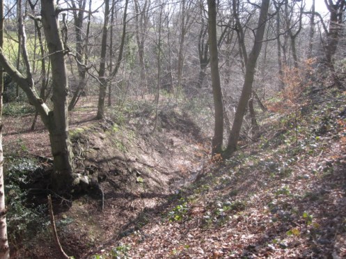 Somewhere near to the source of the Moss ?