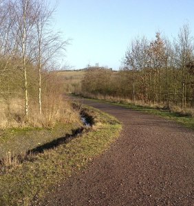 The Five Pits Trail near to Holmewood