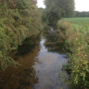 Duke of Portland's Flood Meadows