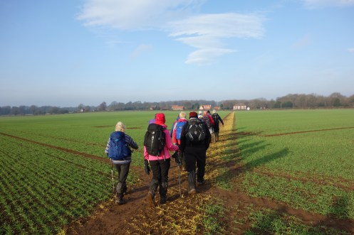 A footpath near Norwood is always a model for reinstatement