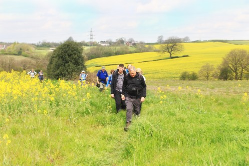 a group of walkers heading through a field from Pilsley station. The field is full of oil seed rape, and is a vibrant summery yellow. 