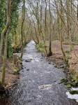 Rivelin Valley a&nbsp;270324