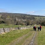 imageedit_6_5681950810